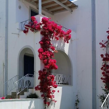 Allegria Family Hotel Áyios Pétros Extérieur photo